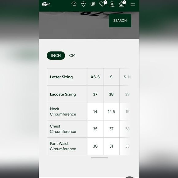 Lacoste Men’s Button Down Shirt 38, Small - Picture 5 of 5